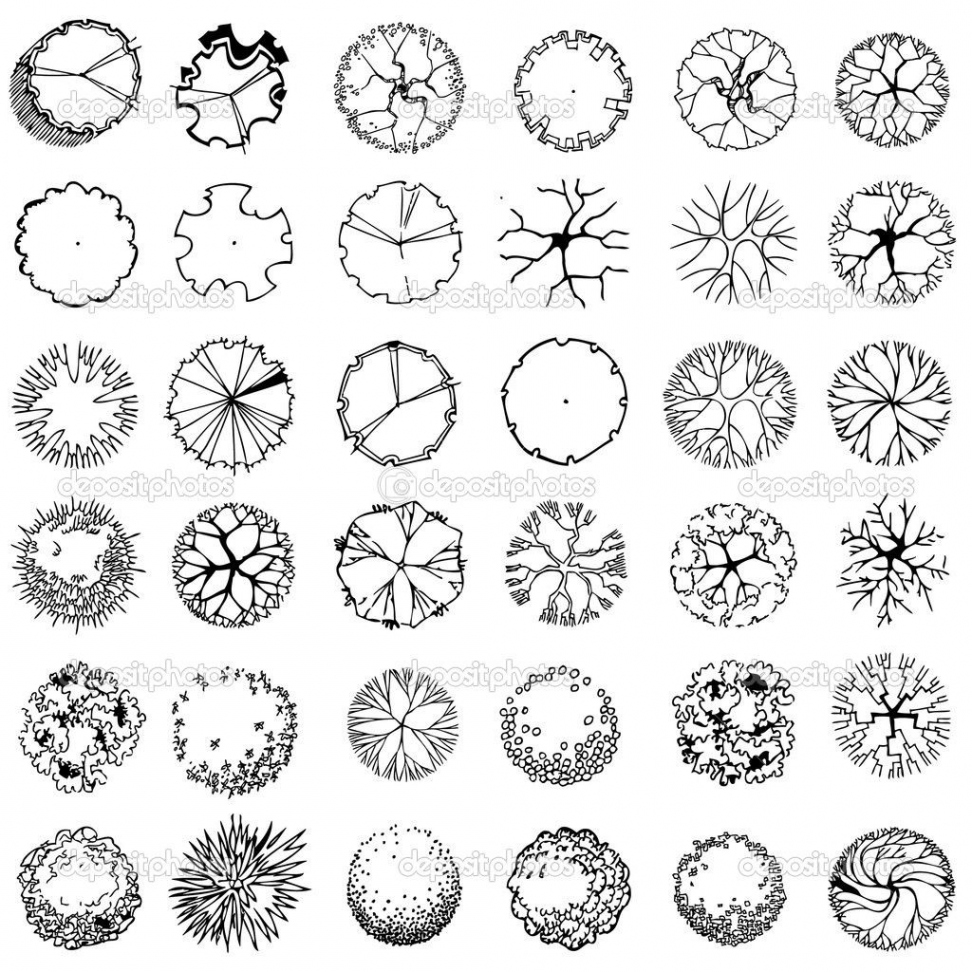 Pix For > Tree Plan Drawing  Landscape design drawings, Landscape