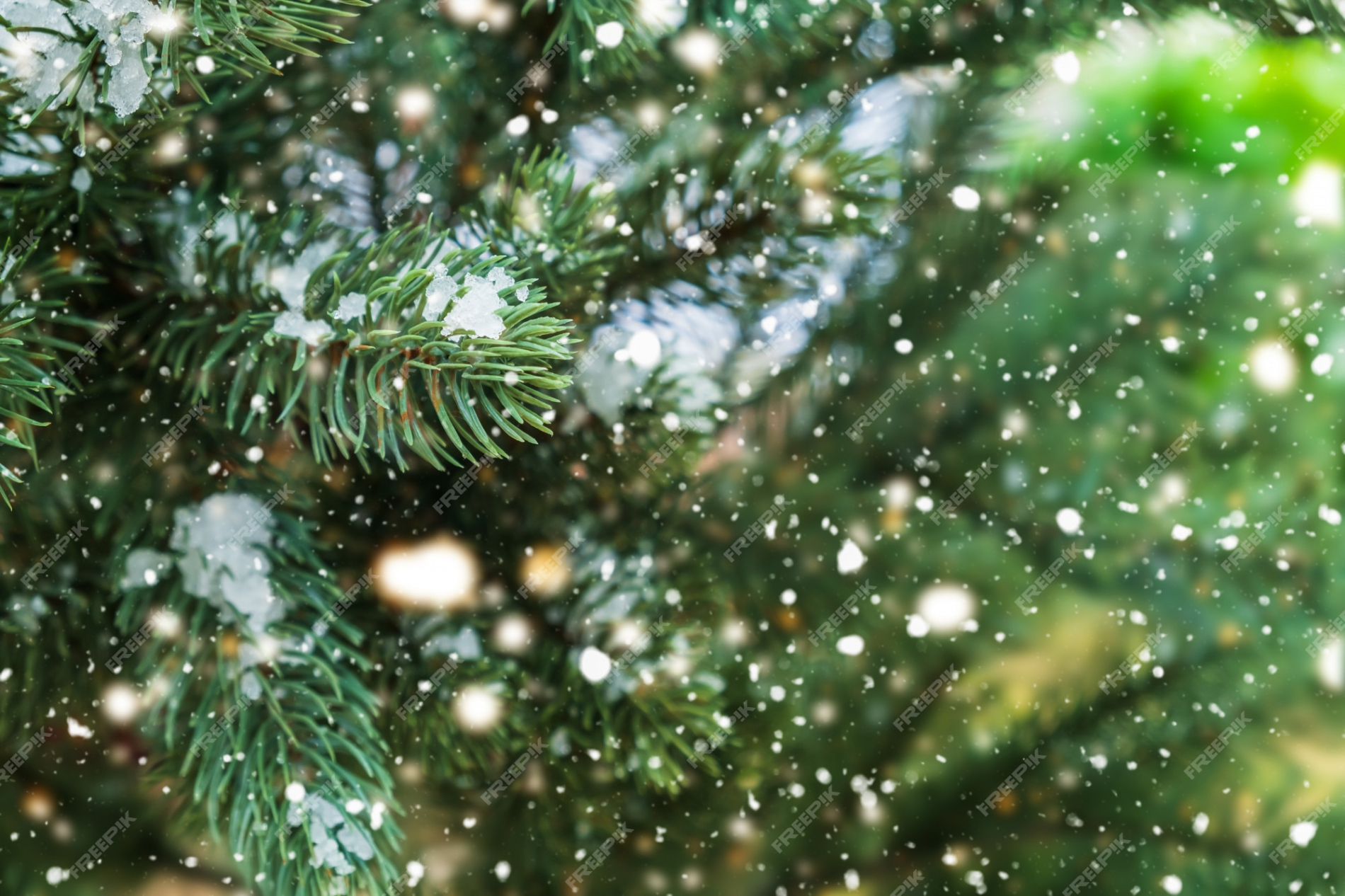 Premium Photo  Closeup of christmas tree with light, snow flake