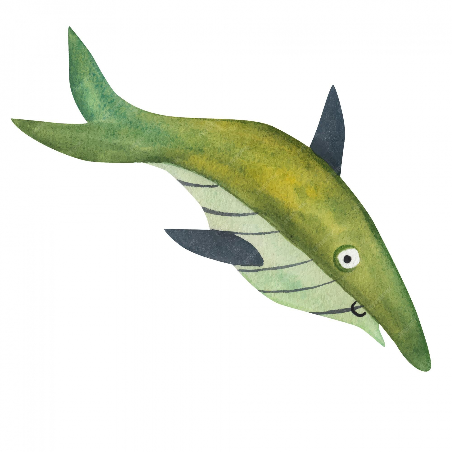 Premium Vector  Green shark watercolor illustration in cartoon style