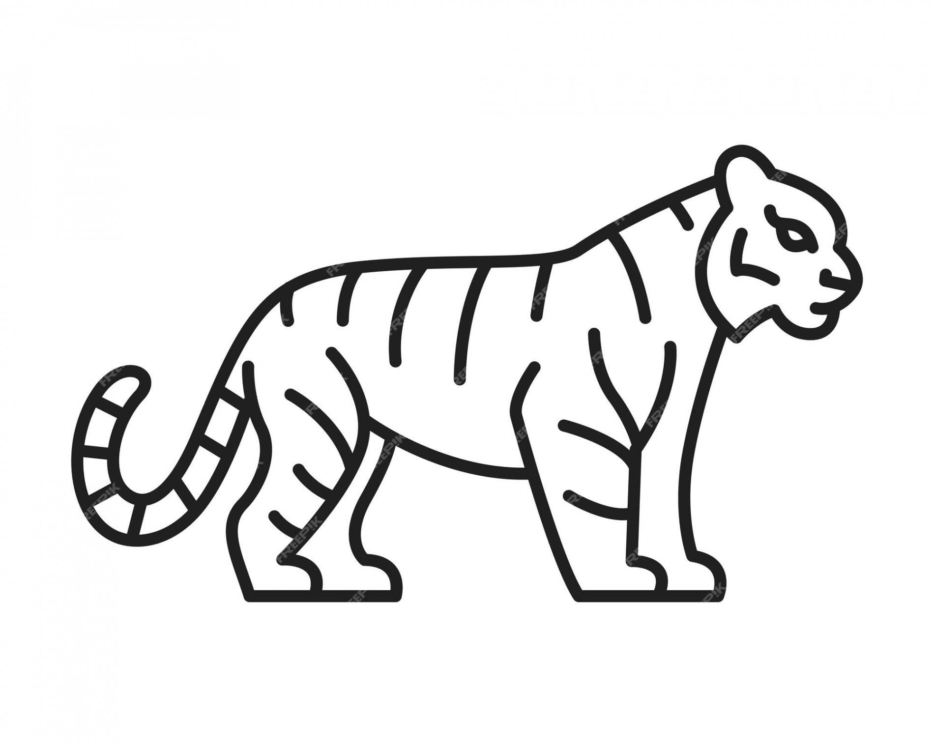 Premium Vector  Tiger drawing standing sideways