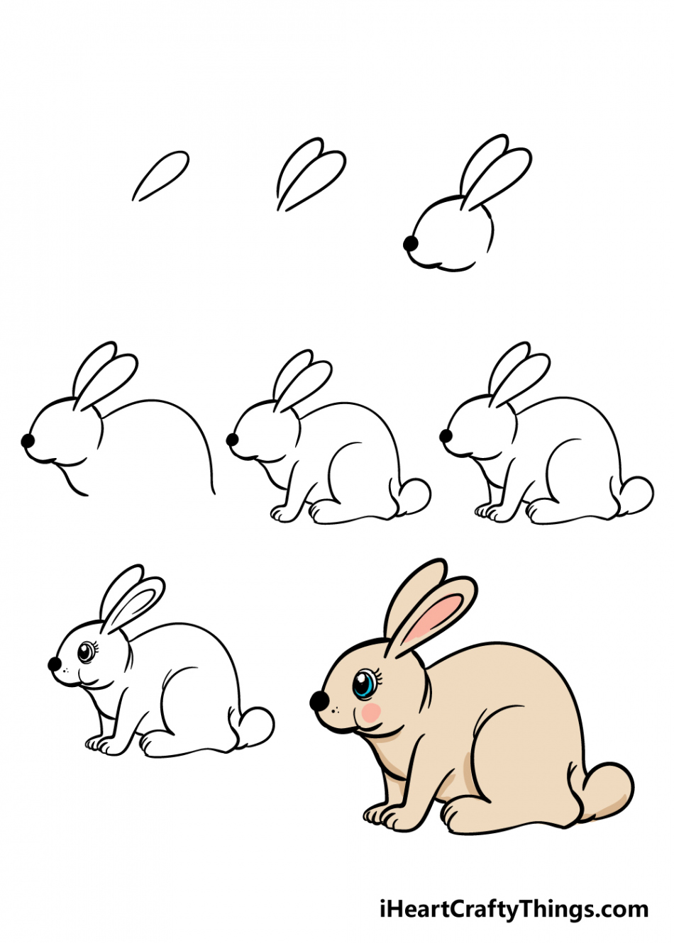 Rabbit Drawing - How To Draw A Rabbit Step By Step