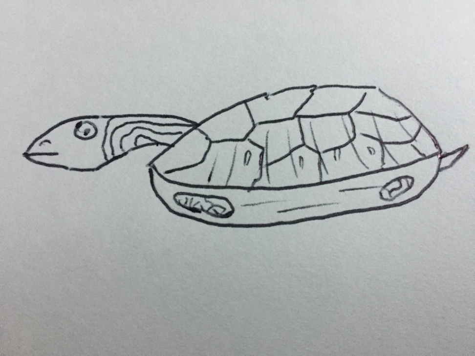 Random Drawing  - Jeff the Yellow Bellied Slider by NandAFilms on