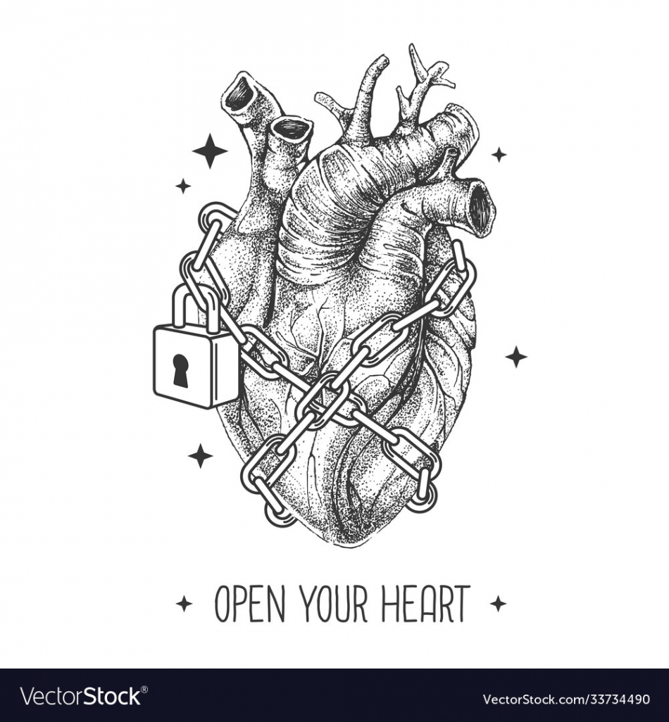 Realistic human heart chained with a padlock Vector Image