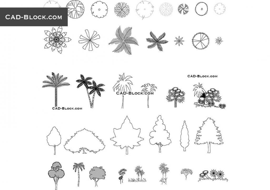 Related image  Tree plan, Architectural trees, Cad blocks