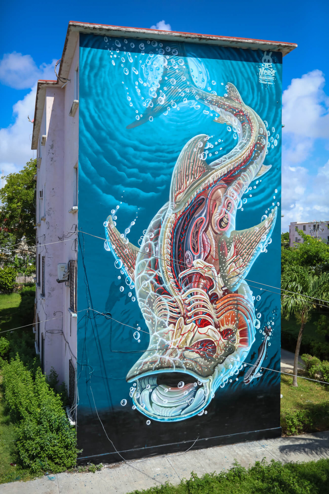 Sea Walls: Murals for Oceans Street Art Festival, Cancun