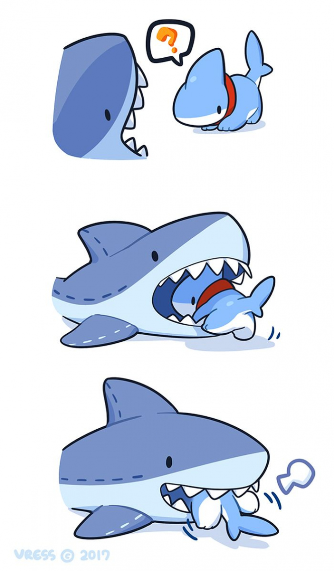 Shark Puppy Is The Cutest Thing You