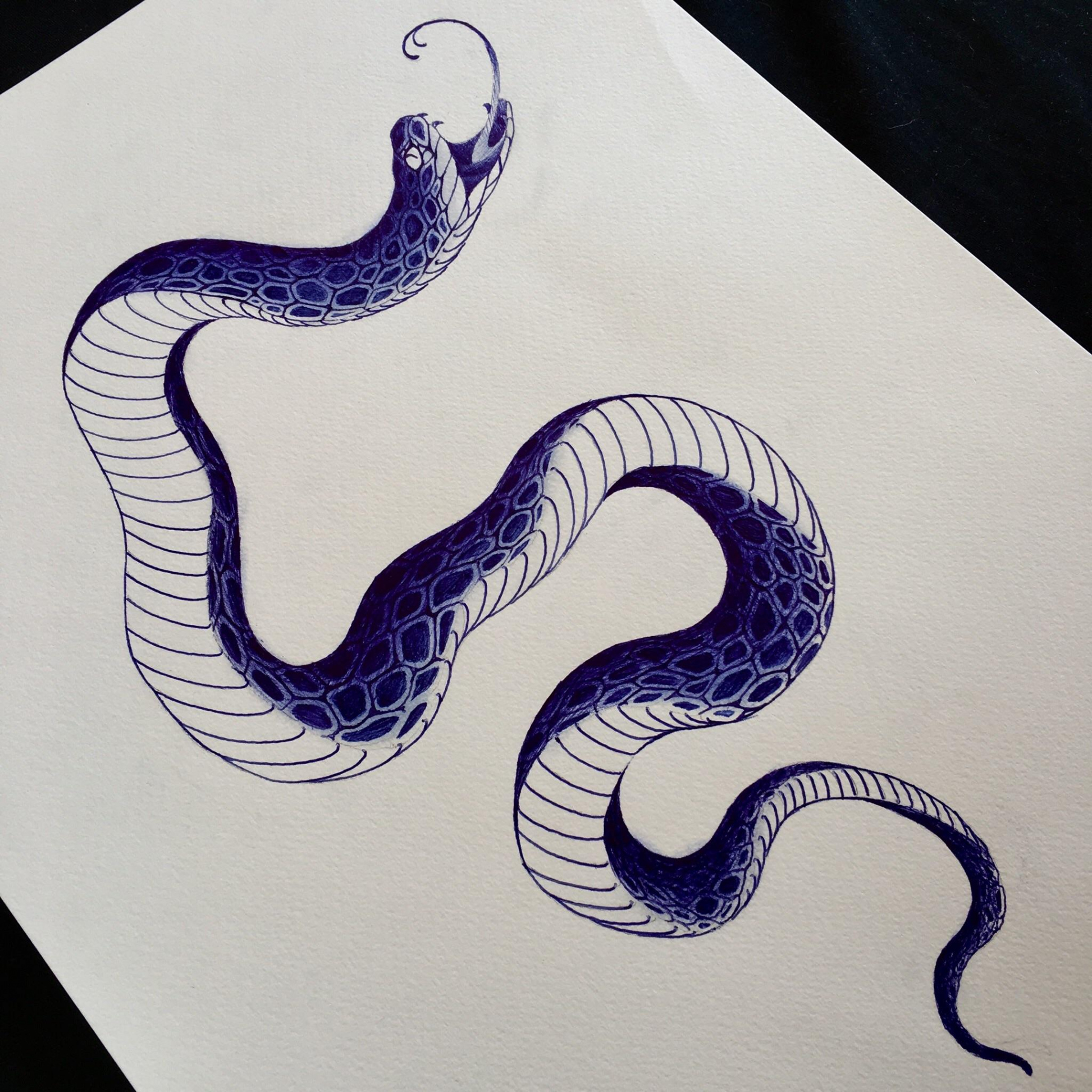 Snake, ballpoint pen on watercolour, A : r/Art