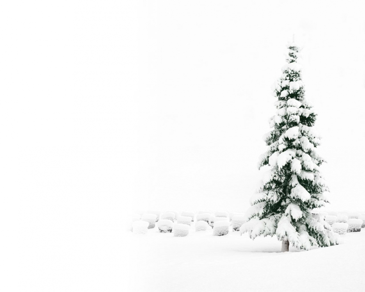 Snowy Christmas Tree Wallpaper  Christmas desktop wallpaper