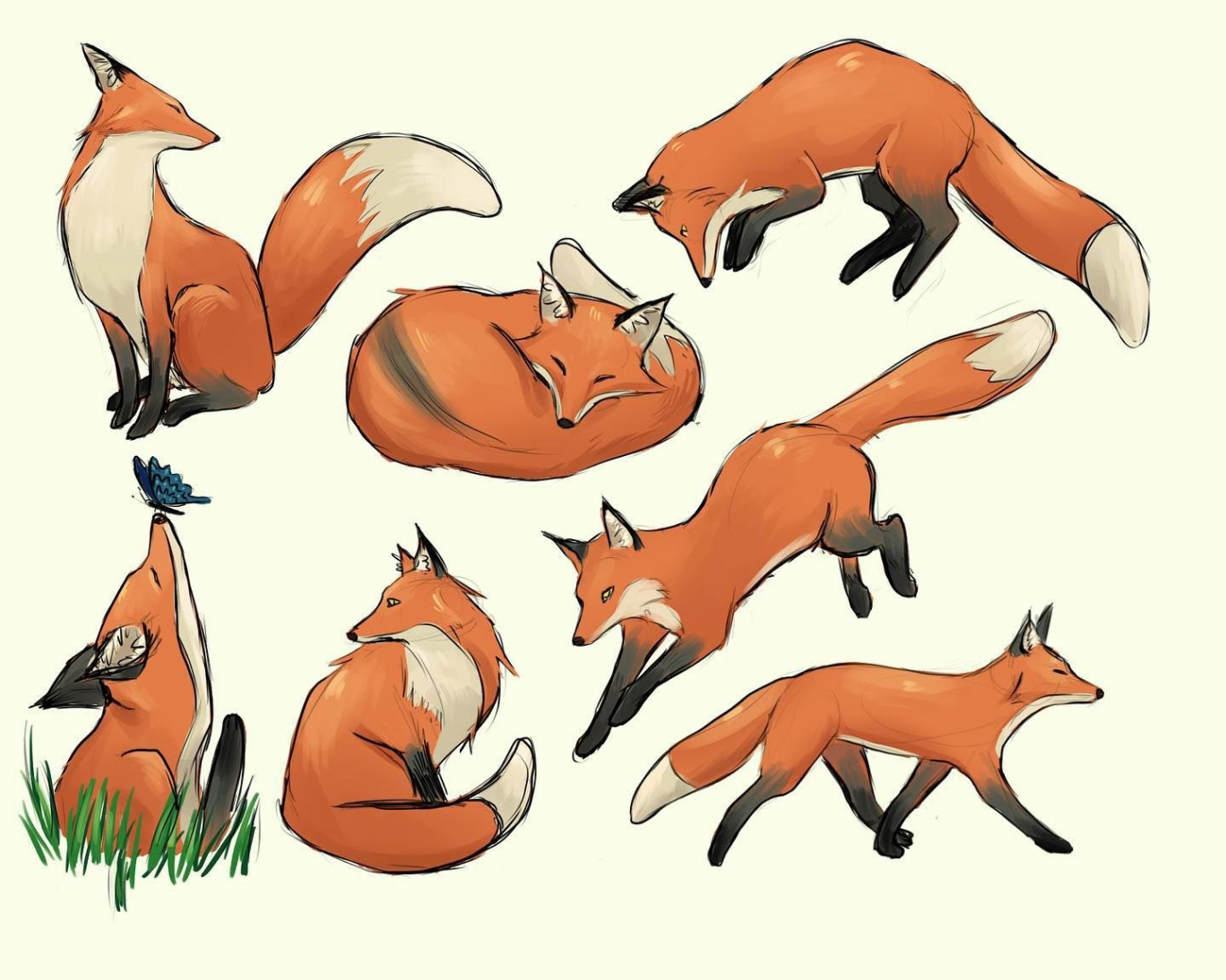 Some fox studies I sketched yesterday! I love foxes and I wanted