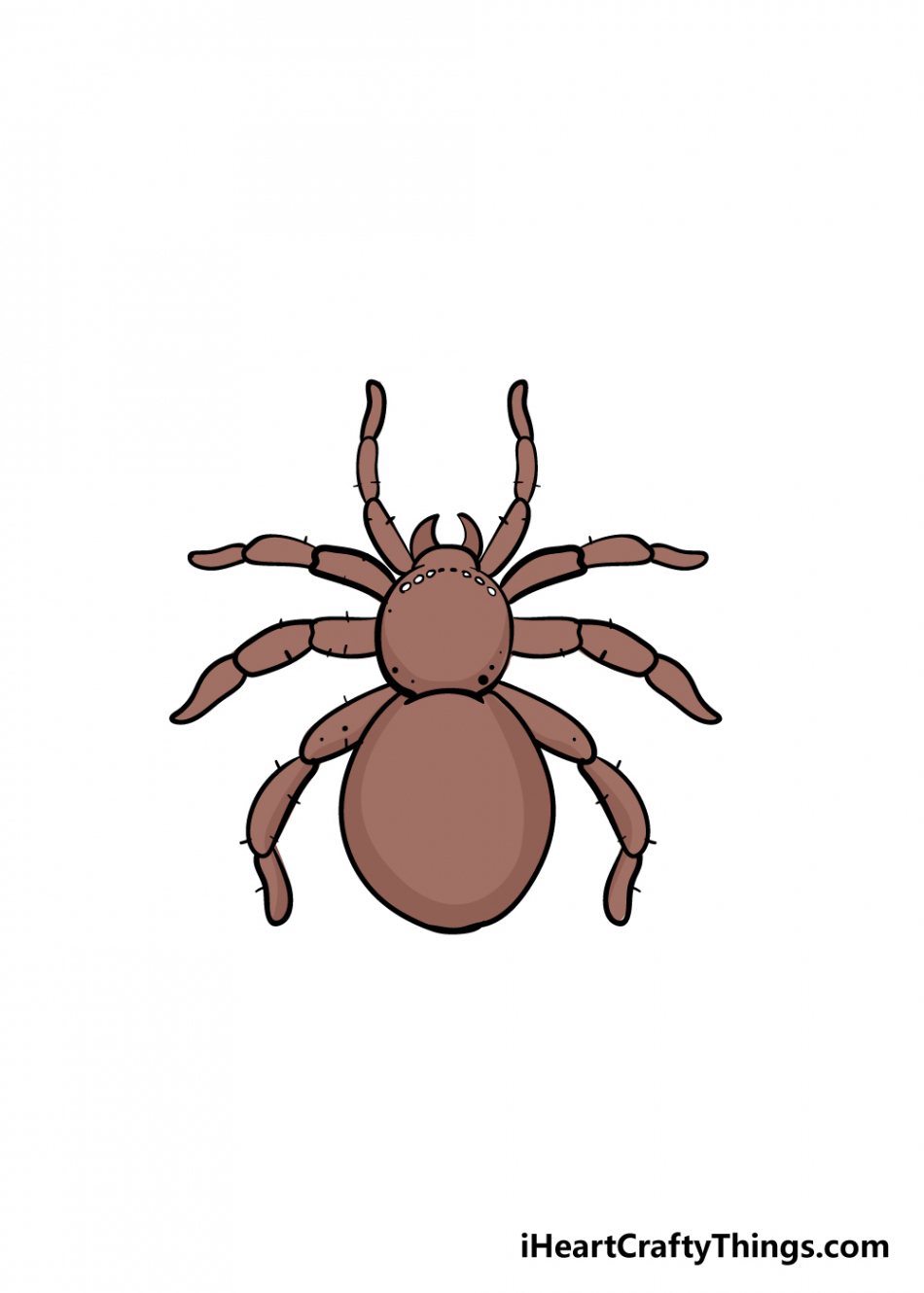 Spider Drawing - How To Draw A Spider Step By Step