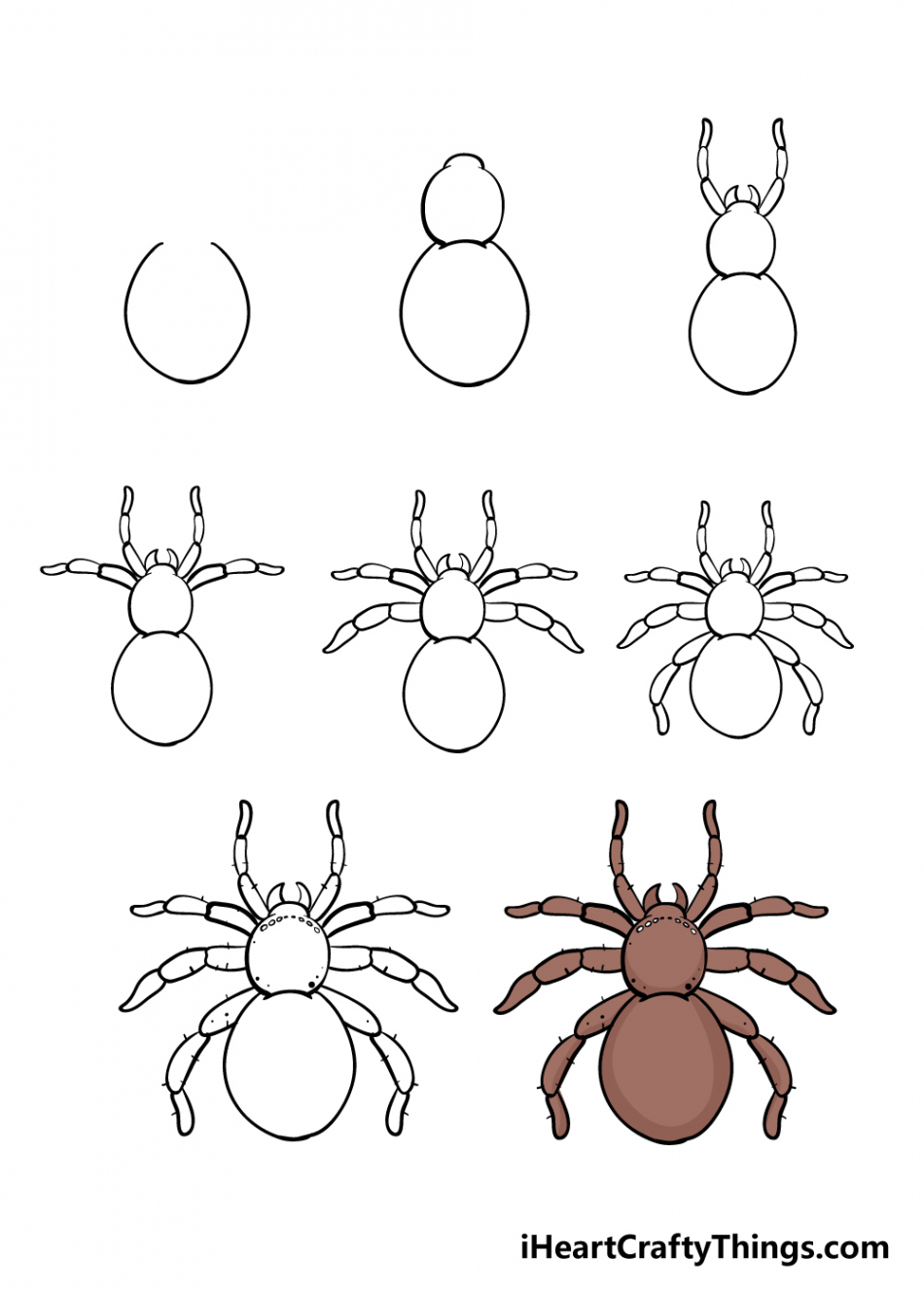 Spider Drawing - How To Draw A Spider Step By Step