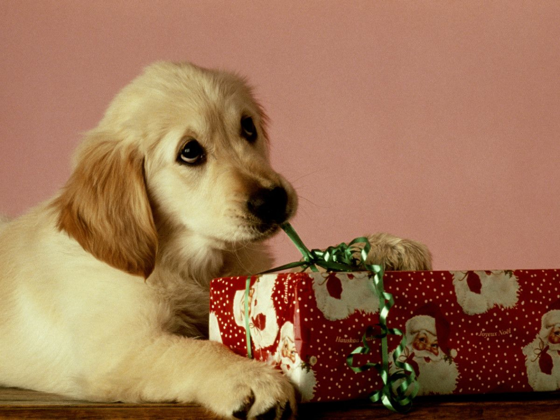 The Cutest Christmas Pajamas For Santa