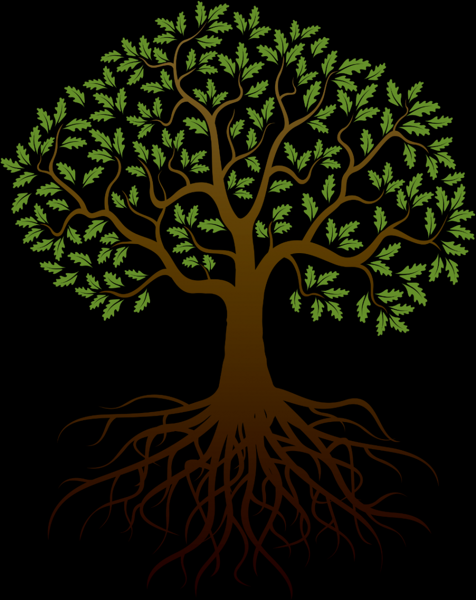 Tree And Roots Drawing  Free download best Tree And Roots Drawing