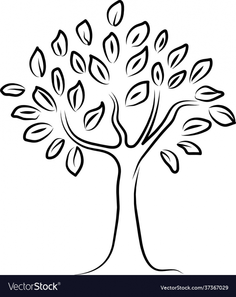 Tree clipart black line drawing Royalty Free Vector Image