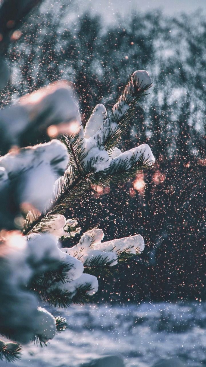 Tumblr Winter Wallpapers - Top Free Tumblr Winter Backgrounds