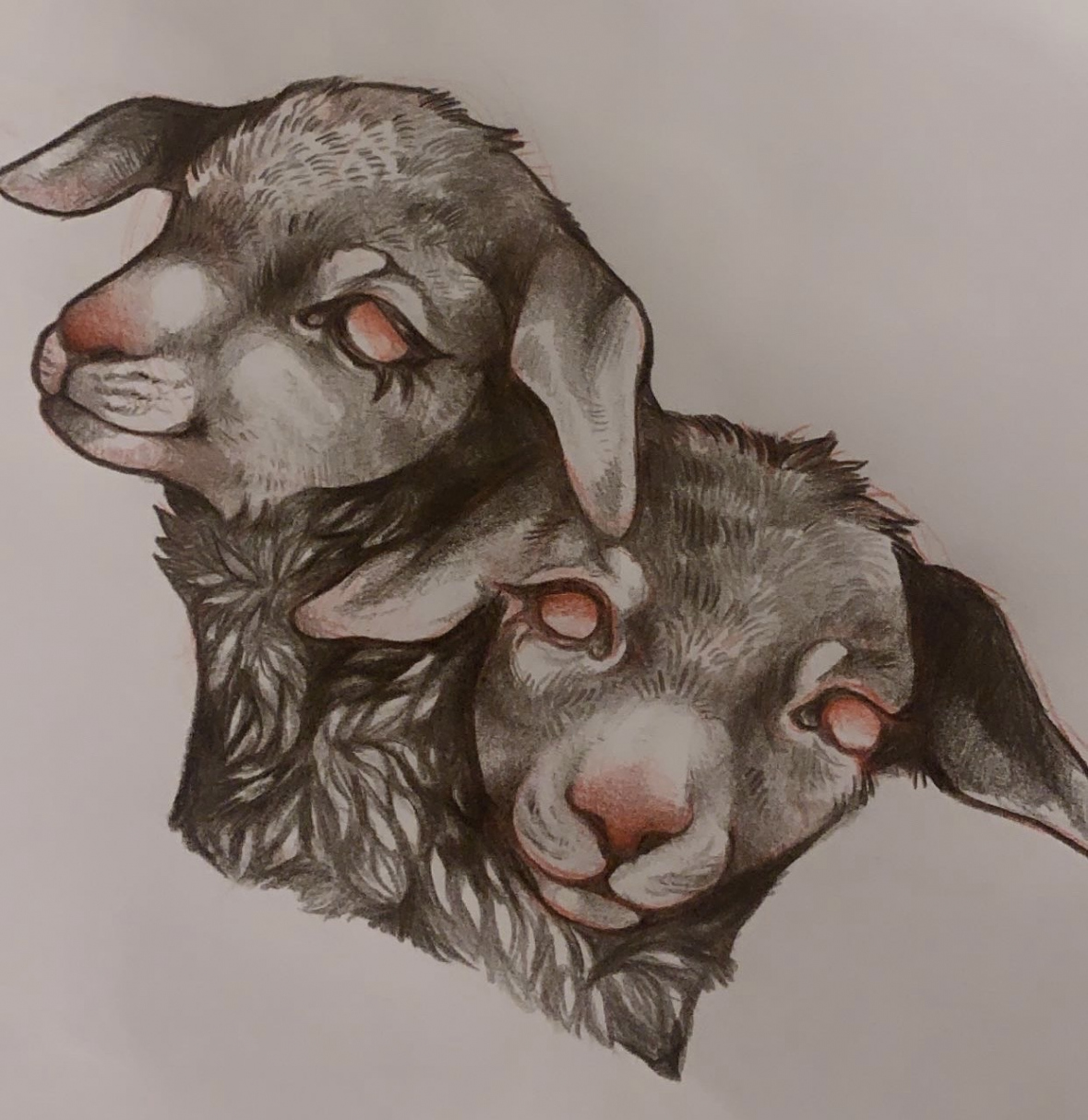 Two-headed goat by ribbon-pawz on DeviantArt