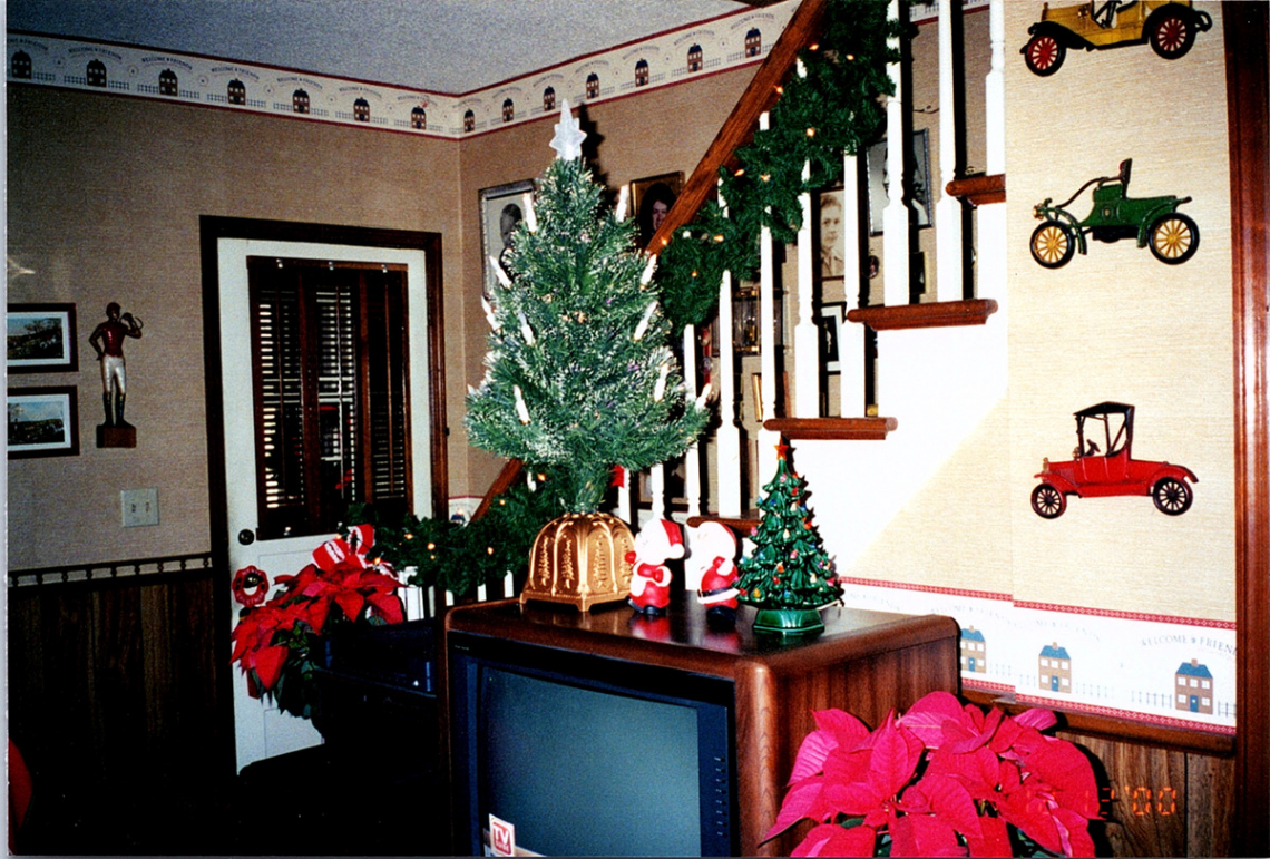 Vintage s Found Photo - Pretty Little Christmas Trees By The