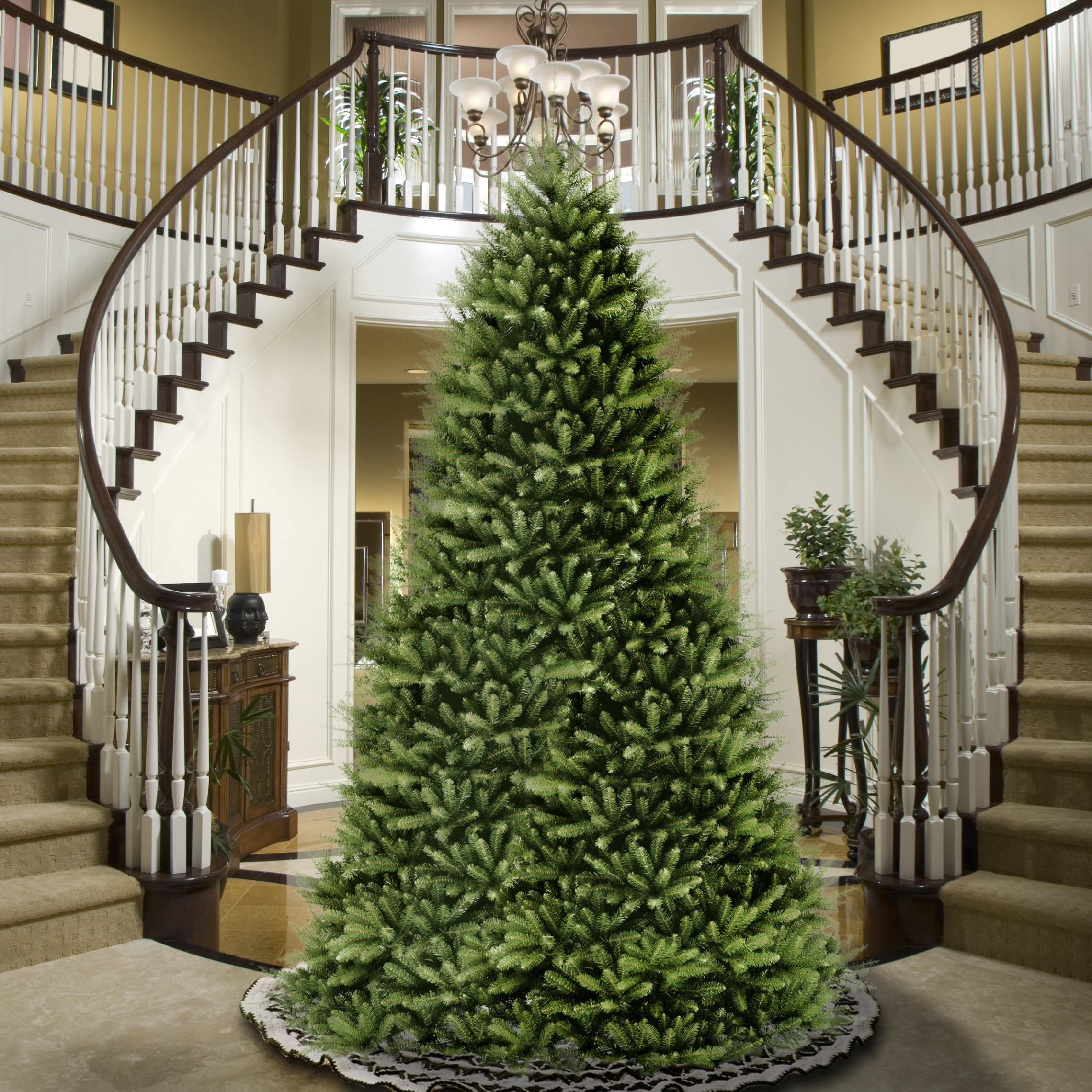 Wayfair  + Foot Christmas Trees You