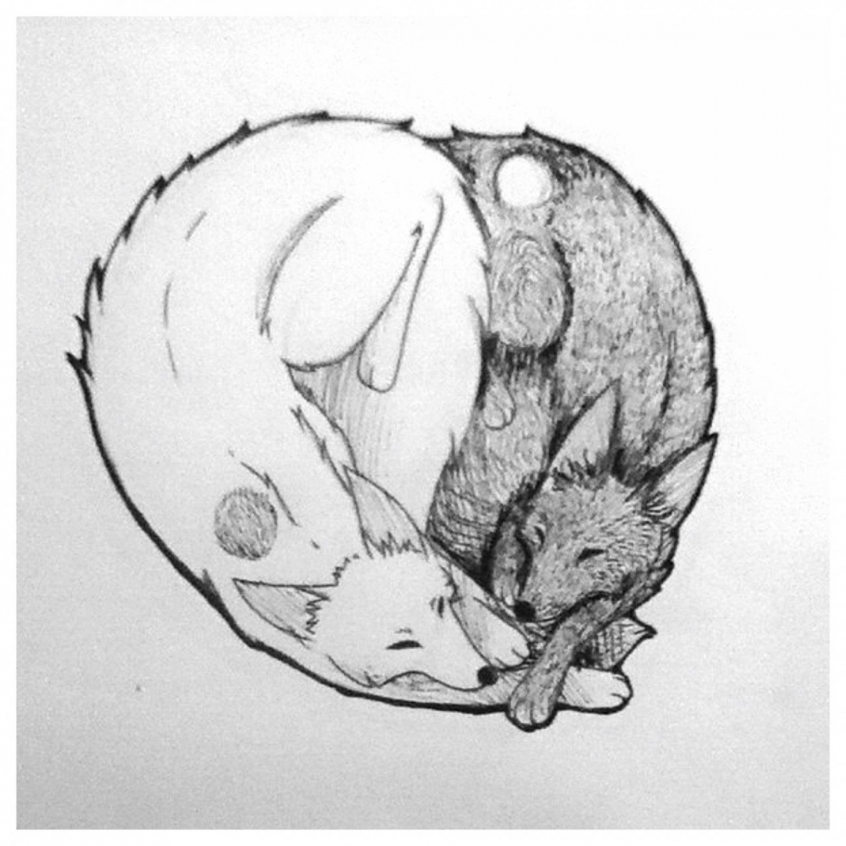 YIN&YANG #yin #yang #foxes #tattoo  Dog tattoos, Yin yang tattoos