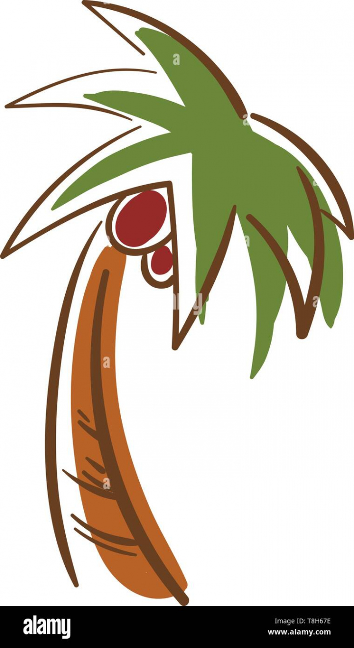 A tall palm tree cartoon with green leaves and red palm fruit