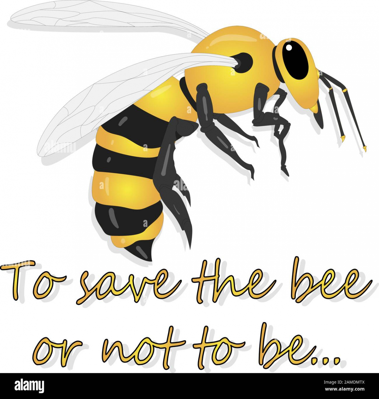 Bee illustration - vector text quotes and bee drawing