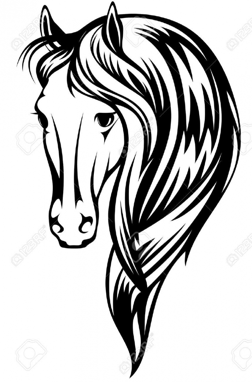 black and white horse drawings - Google Search  Como dibujar un