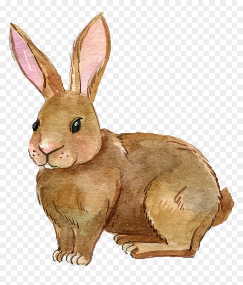 Bunny Clipart Realistic - Rabbit Clipart Png, Transparent Png