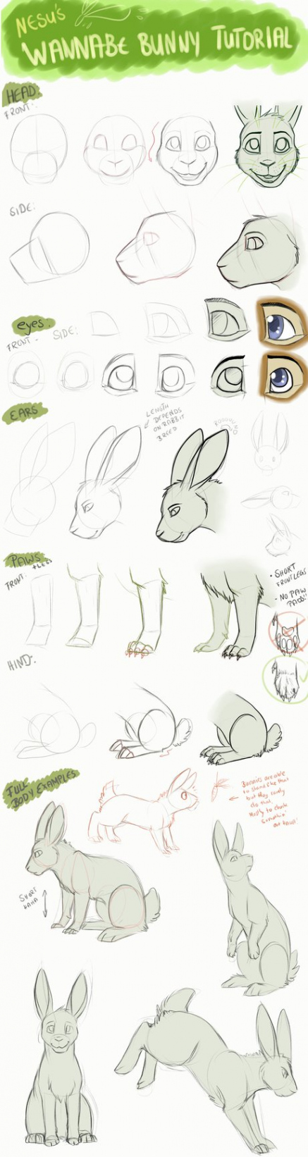 Bunny Tutorial by Nesuki.deviantart