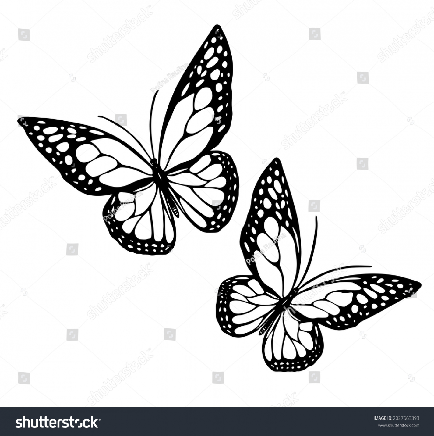 Butterflies Flowers Monarch Two Royalty-Free Images, Stock