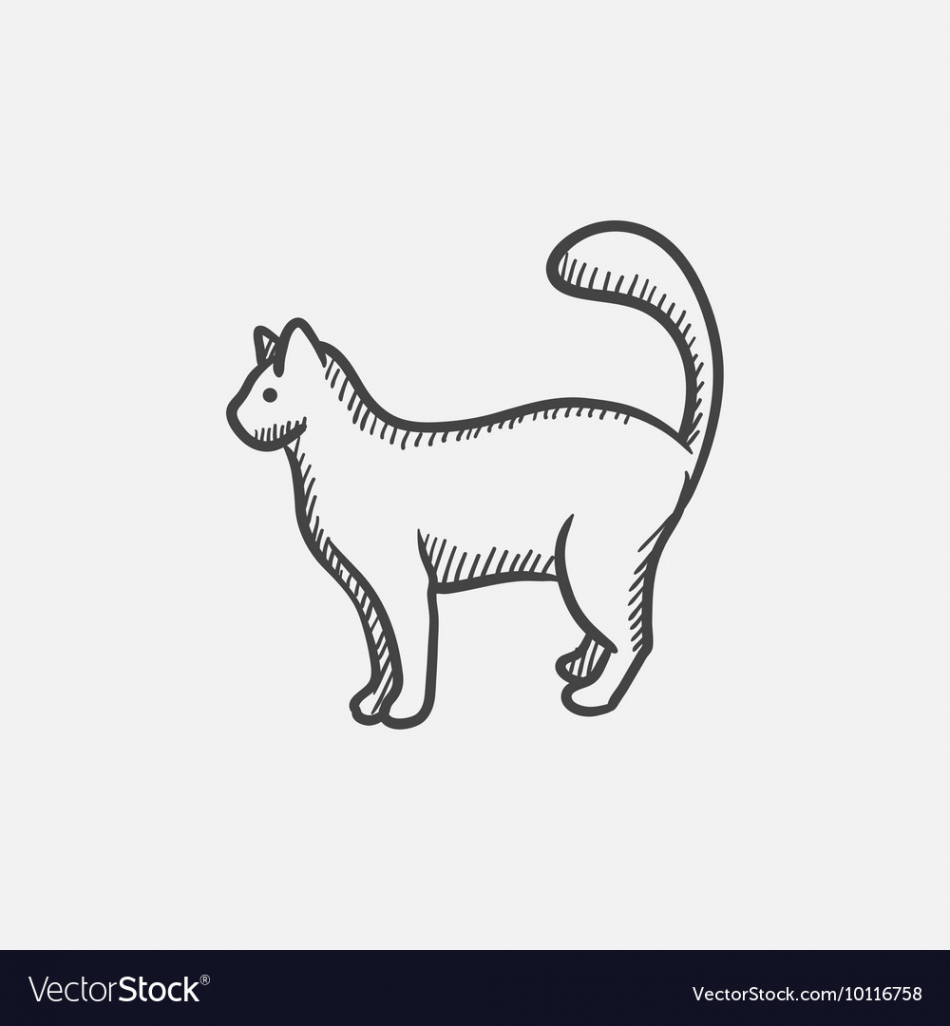 Cat sketch icon Royalty Free Vector Image - VectorStock