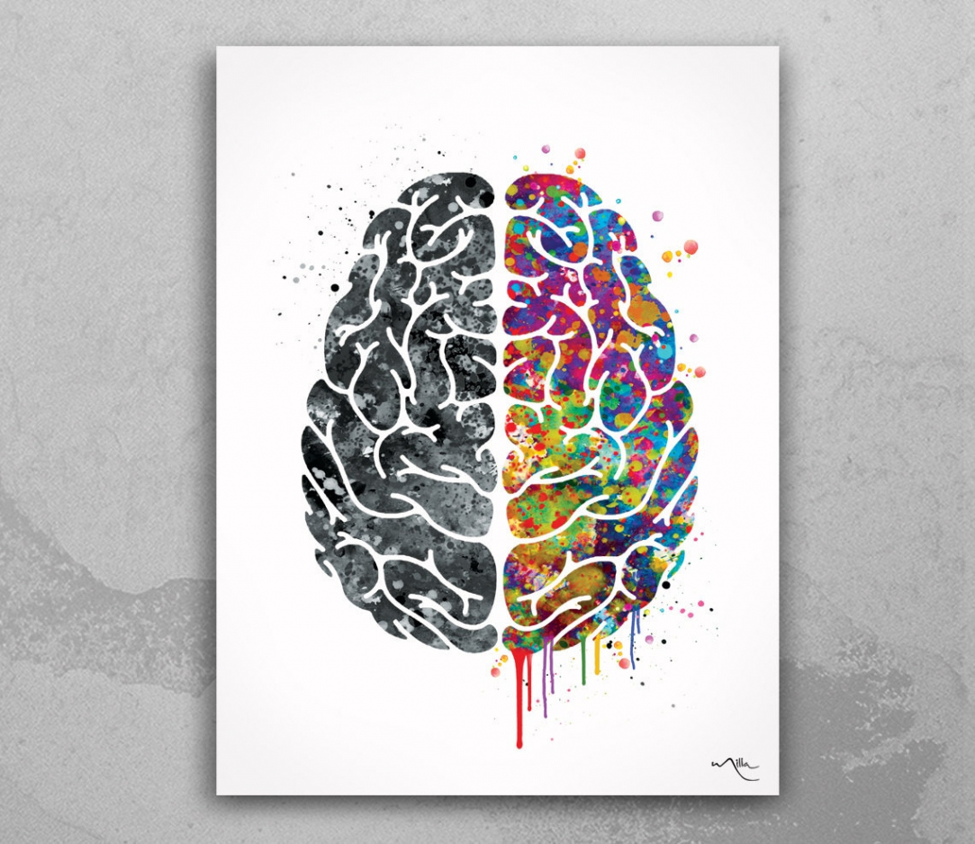 Creative Brain Watercolor Print Medical Art Science Art Geek Nerd