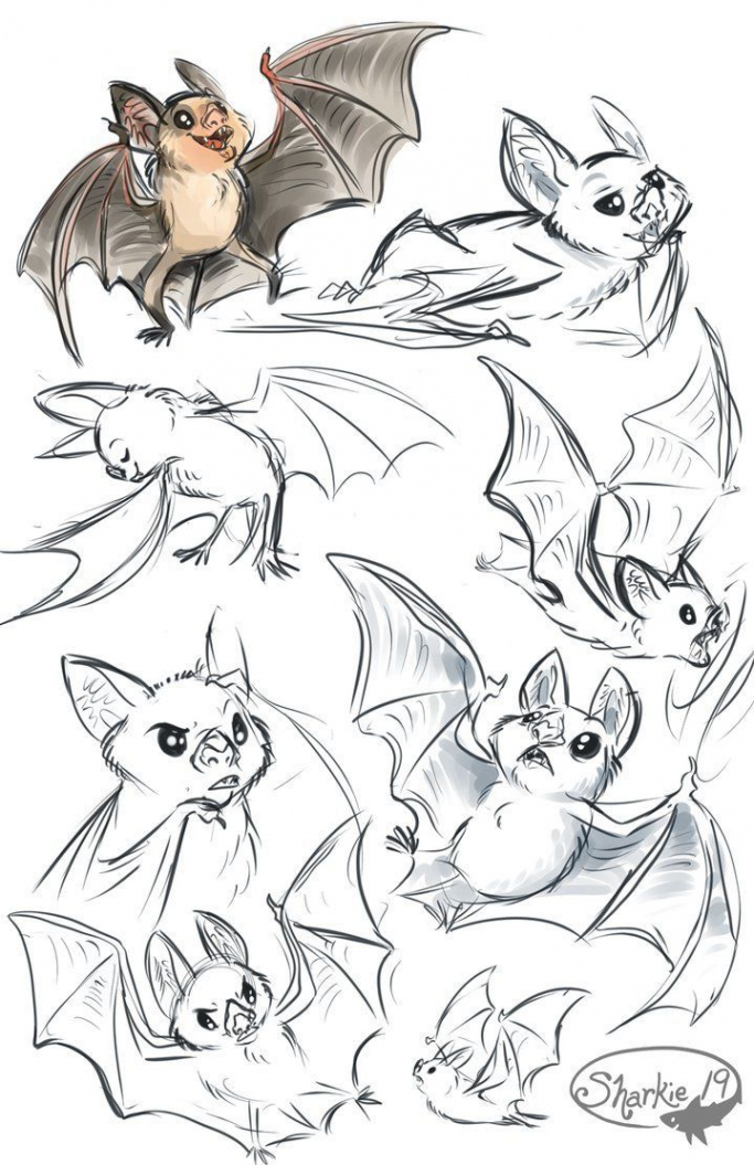 cute bat designs - Google Search  Fantasy art, Character design