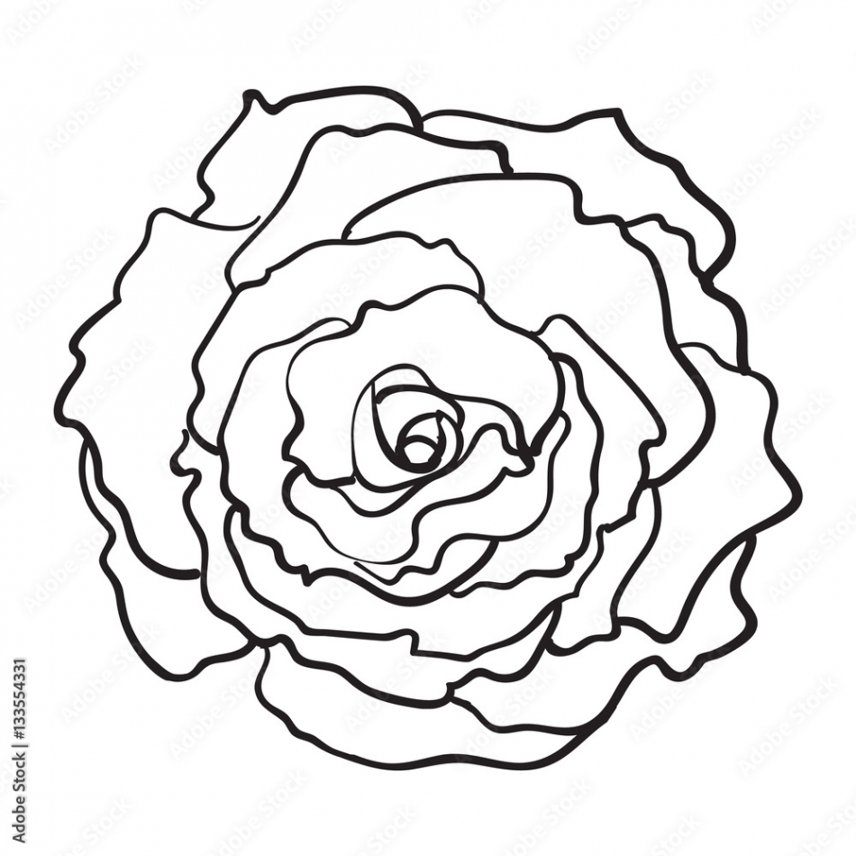 Deep contour rose bud, top view sketch style vector illustration