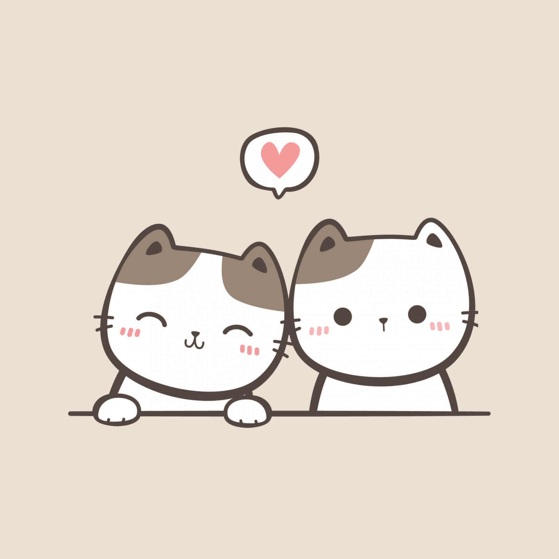 Download Matching Cat Pfp Heart Wallpaper  Wallpapers