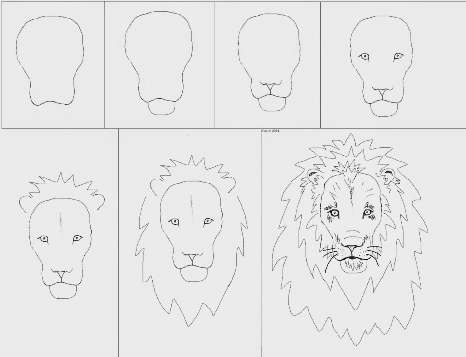 Draw a Lion (Art class ideas)  Lion art, Lion face drawing, Class