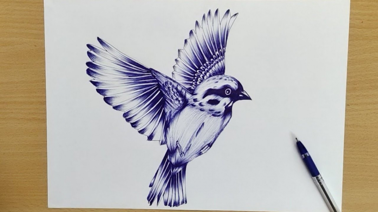 Drawing a Realistic Bird - Single Pen challange (HAC)