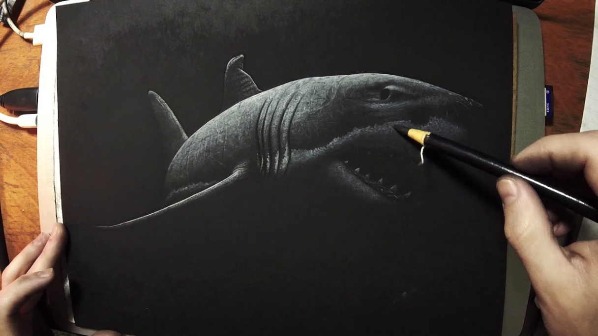 Drawing a Shark - White Pencil on Black Paper