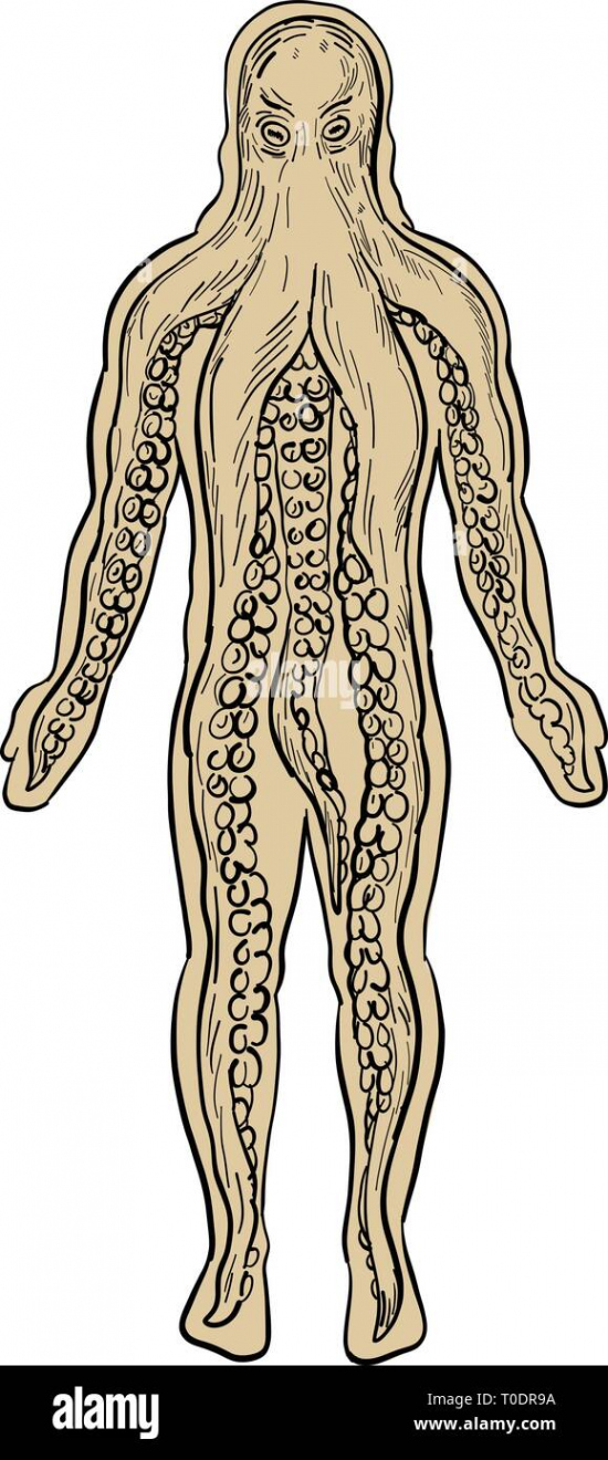 Drawing sketch style illustration of an alien octopus inside a