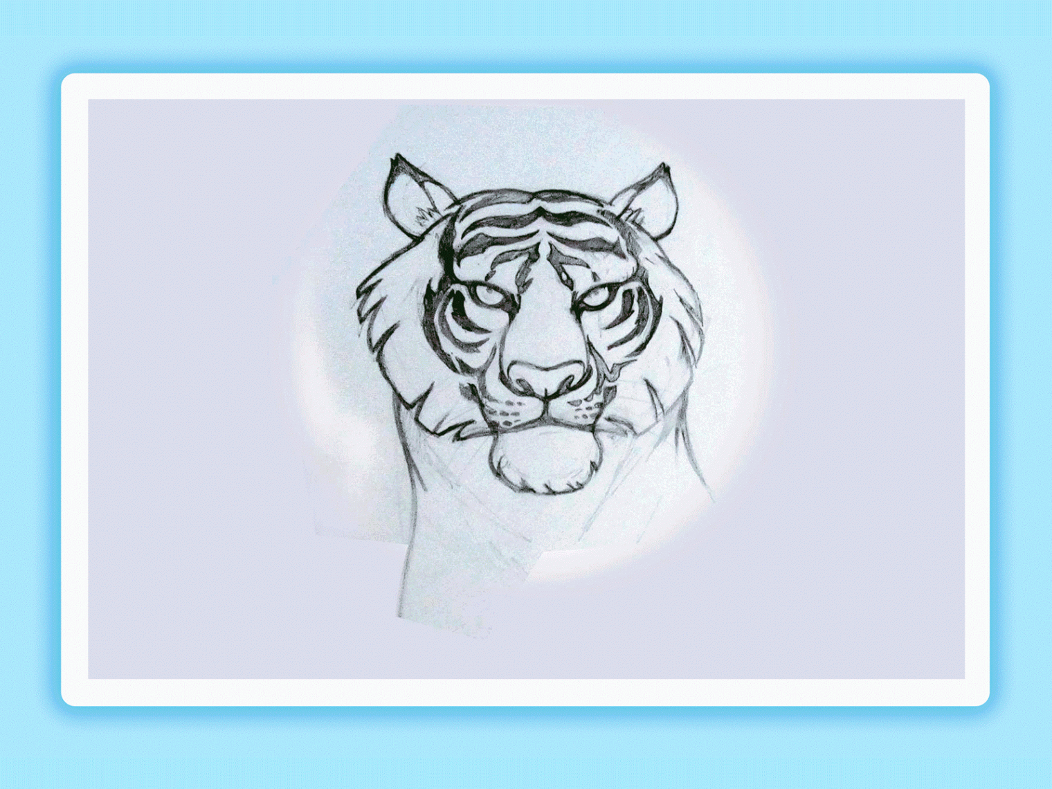 Dribbble - ILLUSTRATED-TIGER