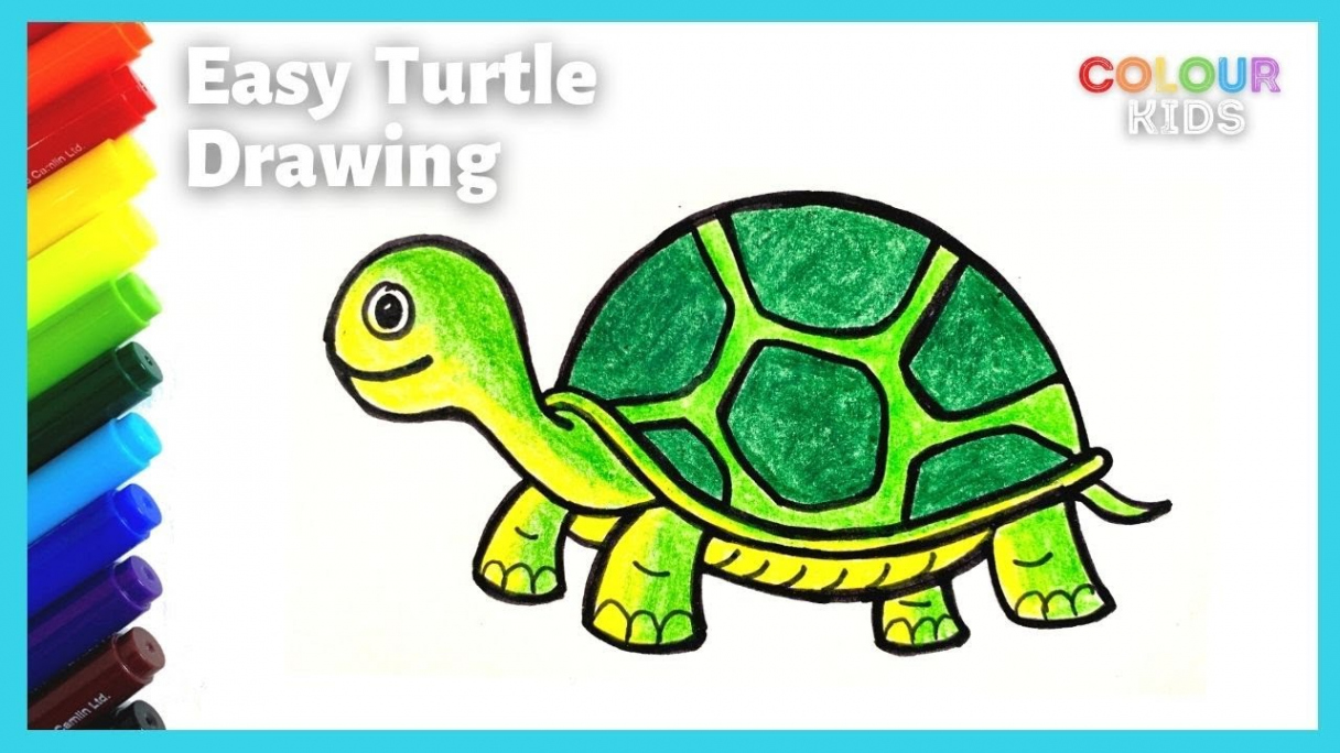 Easy Turtle Drawing and Coloring  Step by Step Simple Turtle Drawing  How  to Draw a Tortoise