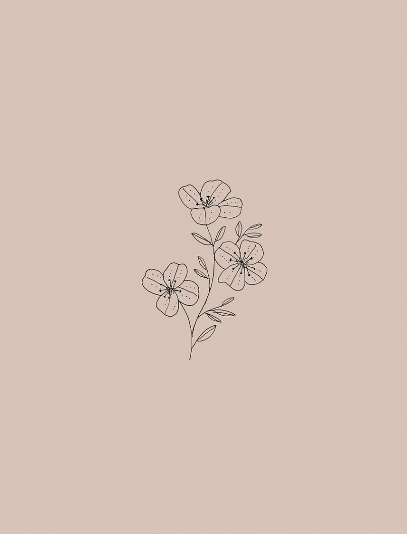 FLOWER AESTHETIC LINEART  Vector Art At Vecteezy, % OFF