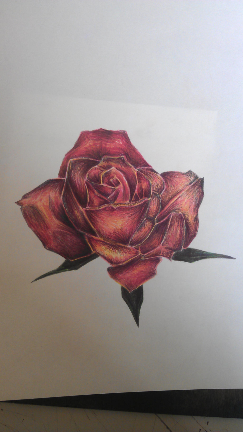 GCSE Rose drawing by LauraElizabethTS on DeviantArt