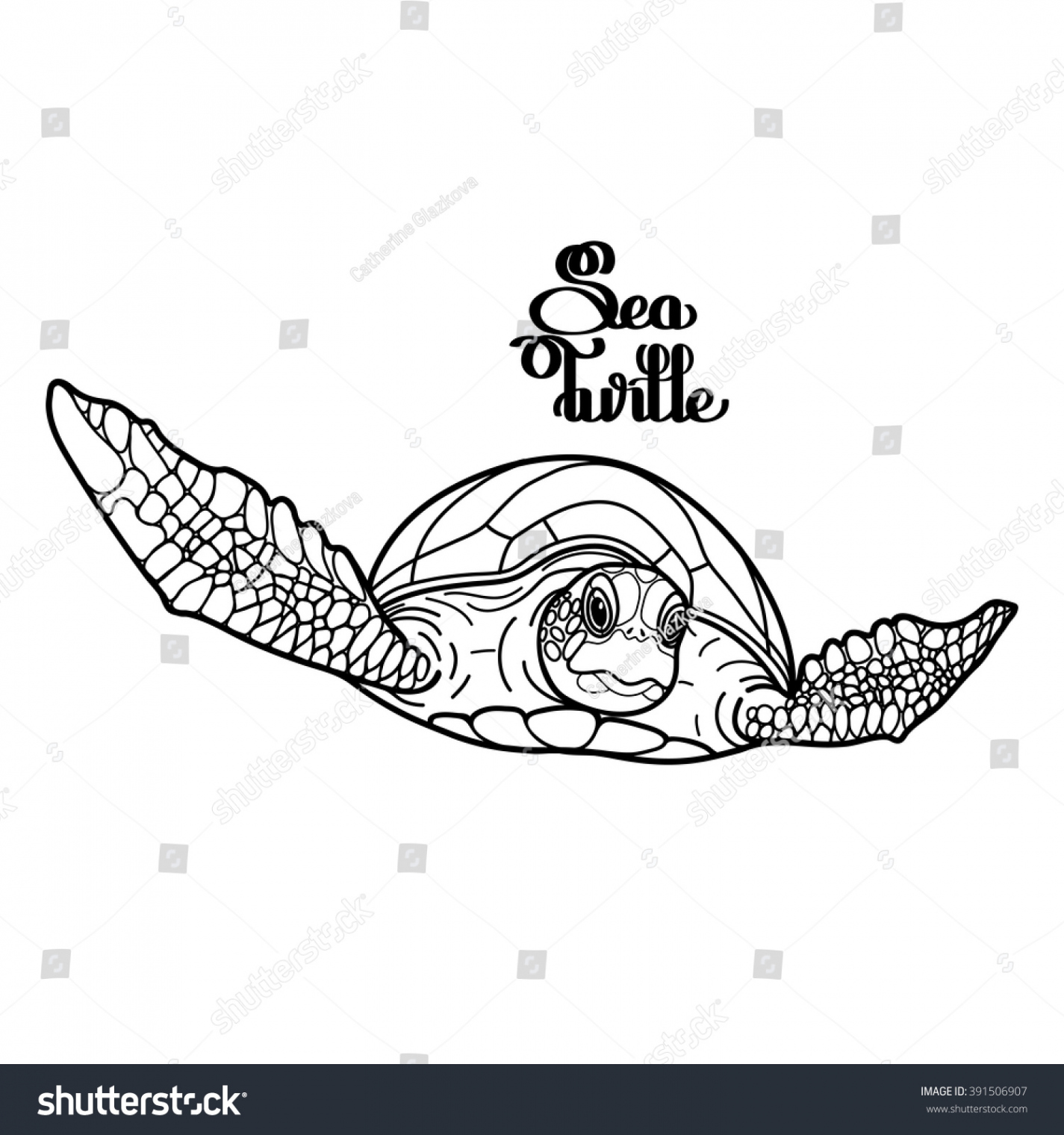 Graphic Hawksbill Sea Turtle Drawn Line Stock Vector (Royalty Free