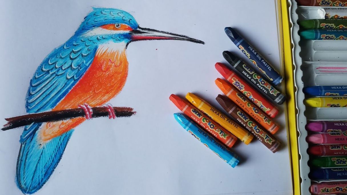 How to draw a Kingfisher with oil pastel step by step