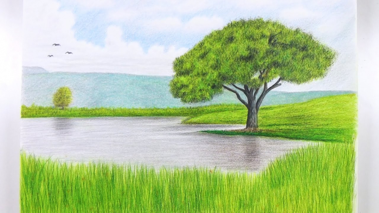 How To Draw A Landscape With Colored Pencils  Tree Drawing - Speed Drawing