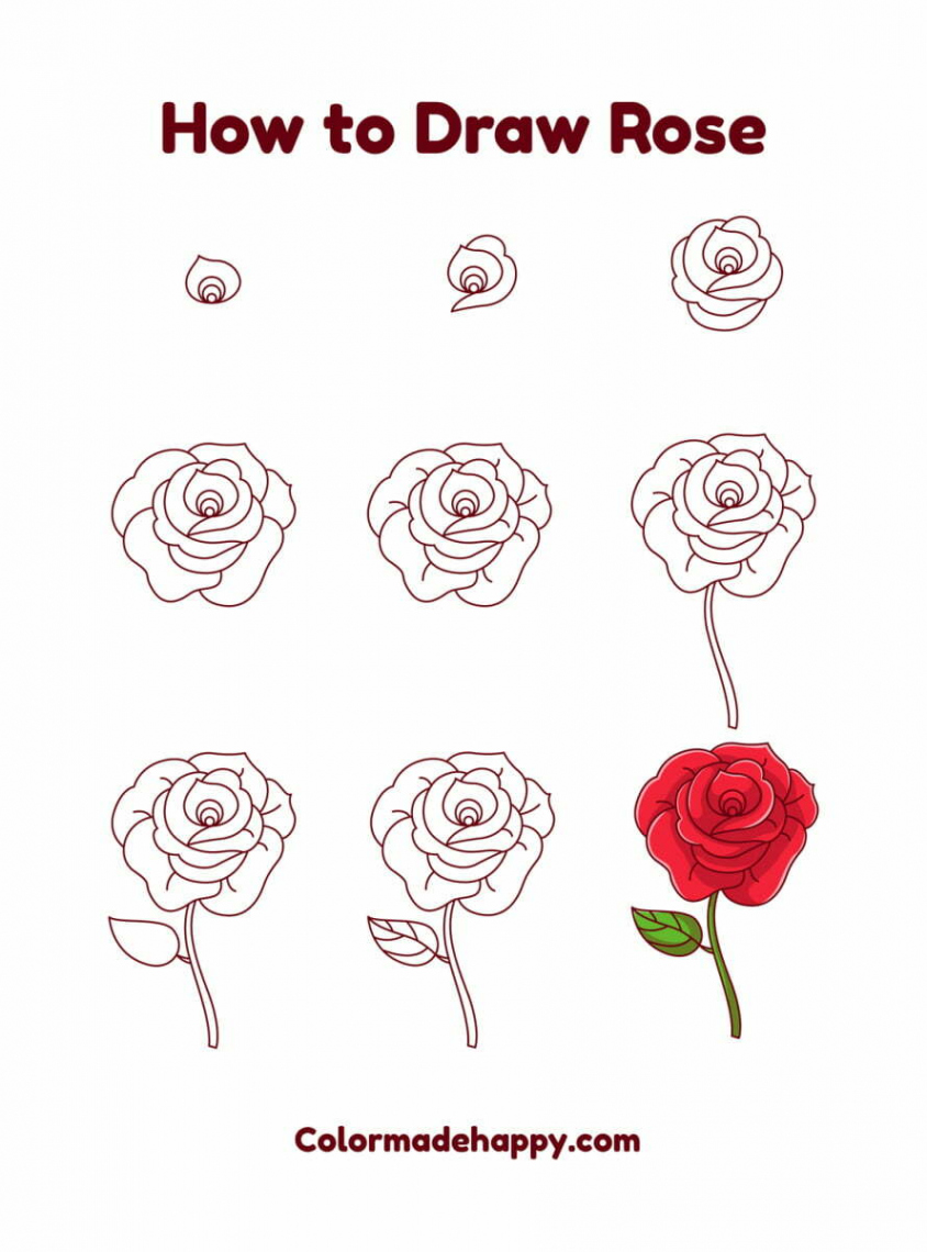 How to Draw a Rose: A Step by Step Guide