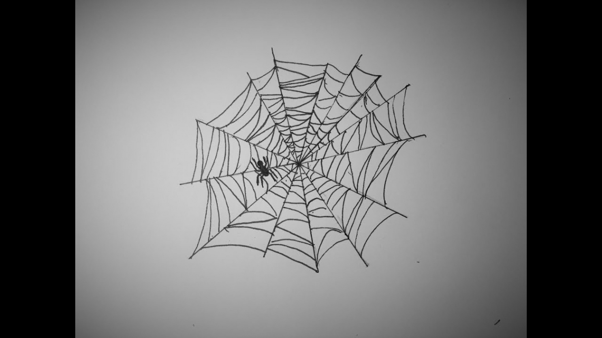 How to Draw a Spider Web