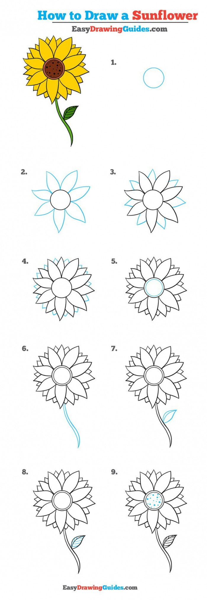 How to Draw a Sunflower - Really Easy Drawing Tutorial  Flower