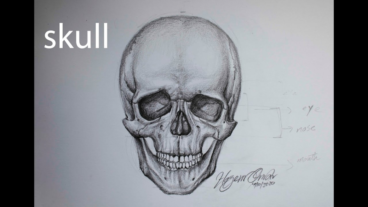 How to draw and shade a skull with pencil  front view