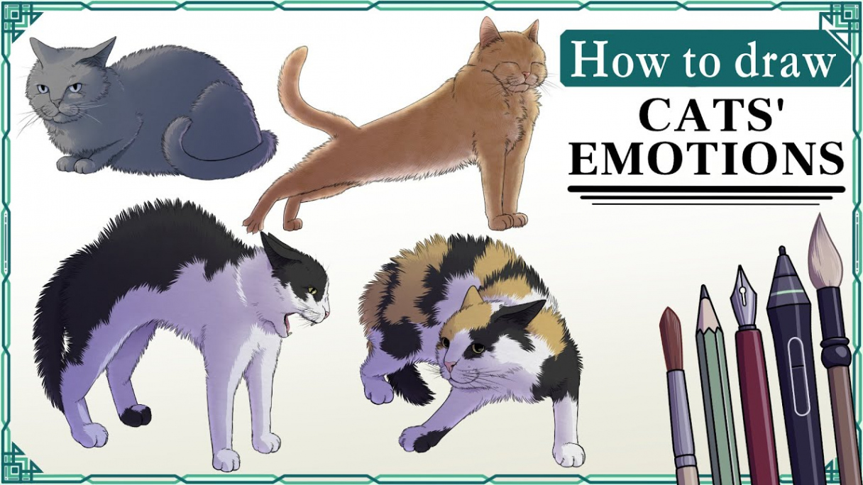 How to draw CATS’ EMOTIONS - Art Tutorial